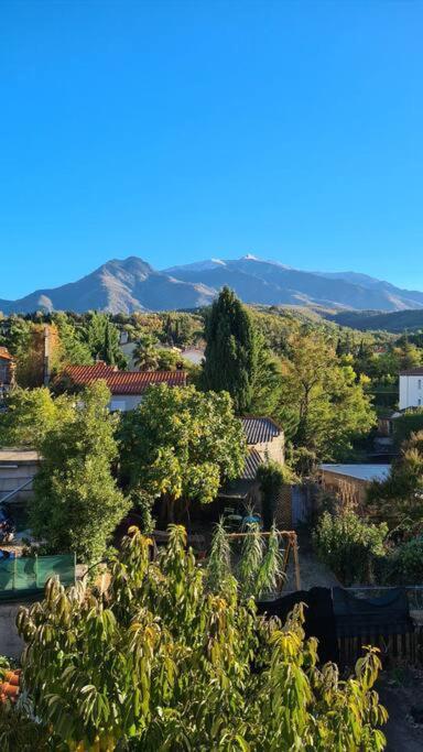 Le Cocon En Coeur De Ville Prada de Conflent Exterior foto